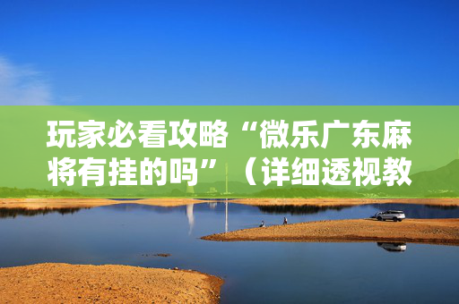 玩家必看攻略“微乐广东麻将有挂的吗”（详细透视教程）-哔哩哔哩