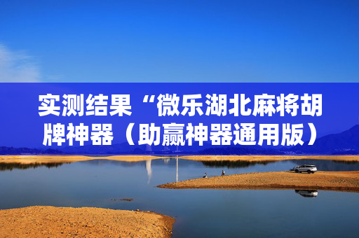 实测结果“微乐湖北麻将胡牌神器（助赢神器通用版）