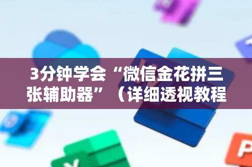 3分钟学会“微信金花拼三张辅助器”（详细透视教程）-哔哩哔哩