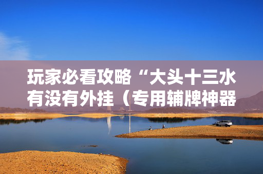 玩家必看攻略“大头十三水有没有外挂（专用辅牌神器免安装）