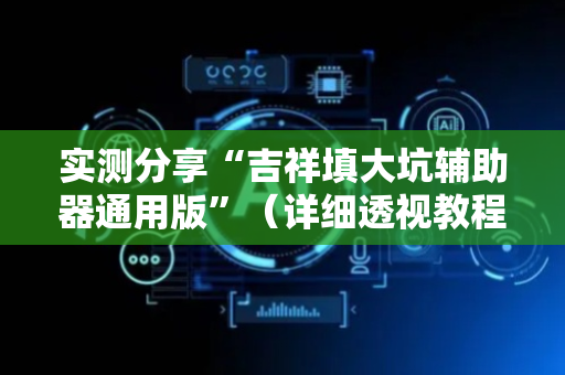 实测分享“吉祥填大坑辅助器通用版”（详细透视教程）-哔哩哔哩