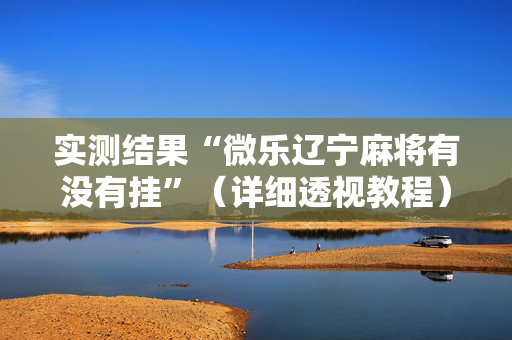 实测结果“微乐辽宁麻将有没有挂”（详细透视教程）-哔哩哔哩