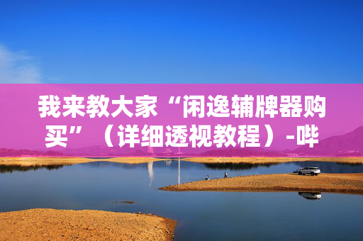 我来教大家“闲逸辅牌器购买”（详细透视教程）-哔哩哔哩