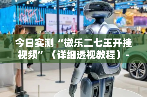 今日实测“微乐二七王开挂视频”（详细透视教程）-哔哩哔哩