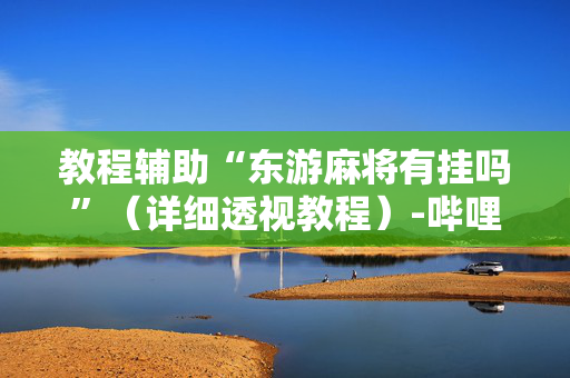 教程辅助“东游麻将有挂吗”（详细透视教程）-哔哩哔哩