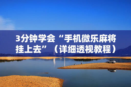 3分钟学会“手机微乐麻将挂上去”（详细透视教程）-哔哩哔哩