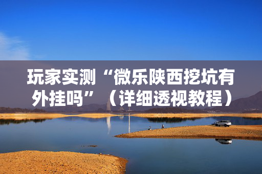 玩家实测“微乐陕西挖坑有外挂吗”（详细透视教程）-哔哩哔哩