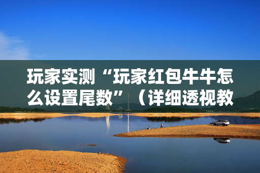 玩家实测“玩家红包牛牛怎么设置尾数”（详细透视教程）-哔哩哔哩