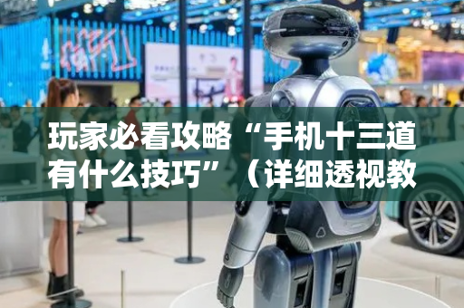 玩家必看攻略“手机十三道有什么技巧”（详细透视教程）-哔哩哔哩