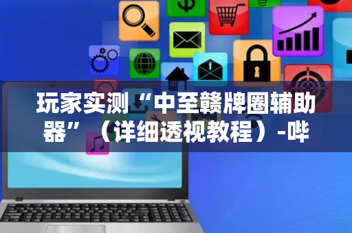 玩家实测“中至赣牌圈辅助器”（详细透视教程）-哔哩哔哩
