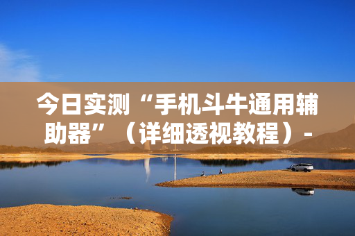 今日实测“手机斗牛通用辅助器”（详细透视教程）-哔哩哔哩