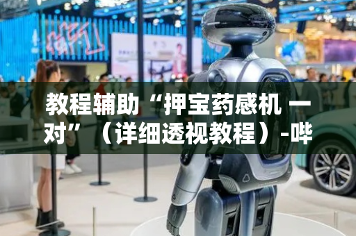 教程辅助“押宝药感机 一对”（详细透视教程）-哔哩哔哩