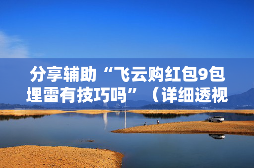 分享辅助“飞云购红包9包埋雷有技巧吗”（详细透视教程）-哔哩哔哩