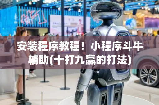 安装程序教程！小程序斗牛辅助(十打九赢的打法)