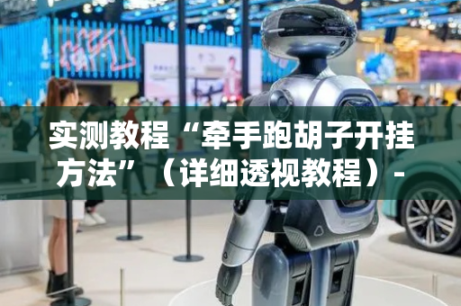 实测教程“牵手跑胡子开挂方法”（详细透视教程）-哔哩哔哩