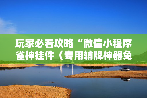 玩家必看攻略“微信小程序雀神挂件（专用辅牌神器免安装）