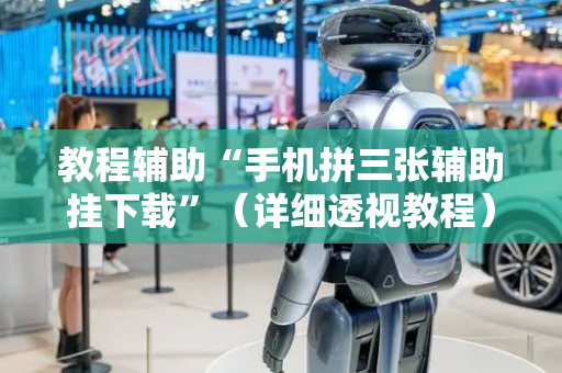 教程辅助“手机拼三张辅助挂下载”（详细透视教程）-哔哩哔哩