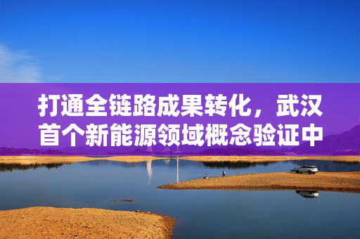 打通全链路成果转化，武汉首个新能源领域概念验证中心启动
