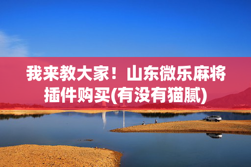 我来教大家！山东微乐麻将插件购买(有没有猫腻)