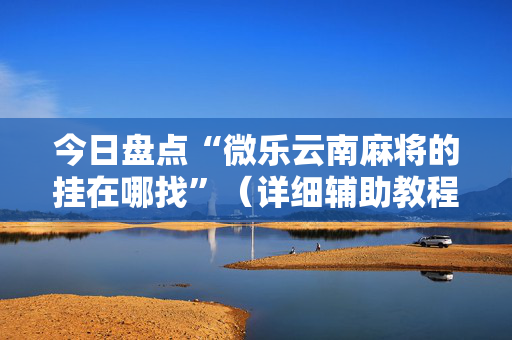 今日盘点“微乐云南麻将的挂在哪找”（详细辅助教程）-哔哩哔哩