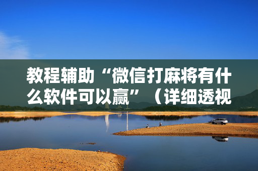 教程辅助“微信打麻将有什么软件可以赢”（详细透视教程）-哔哩哔哩