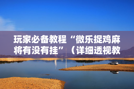 玩家必备教程“微乐捉鸡麻将有没有挂”（详细透视教程）-哔哩哔哩
