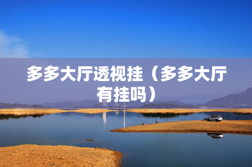 多多大厅透视挂（多多大厅有挂吗）