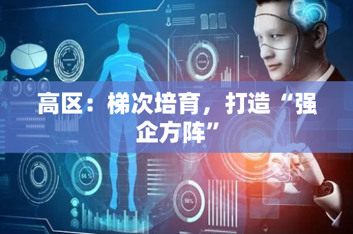 高区：梯次培育，打造“强企方阵”