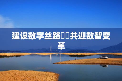建设数字丝路  共迎数智变革