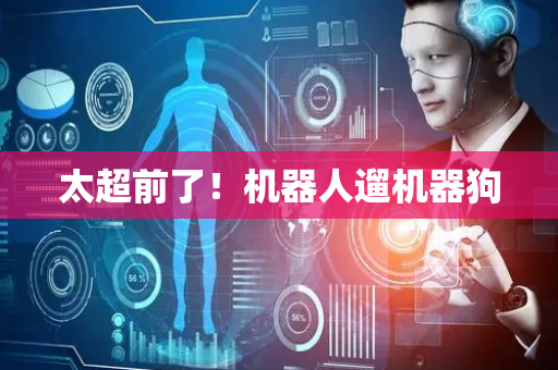 太超前了！机器人遛机器狗