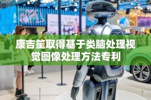 康吉笙取得基于类脑处理视觉图像处理方法专利