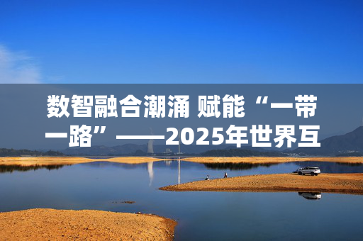 数智融合潮涌 赋能“一带一路”——2025年世界互联网大会数字丝路发展论坛观察