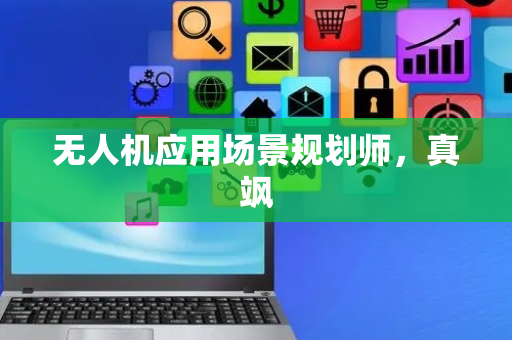 无人机应用场景规划师，真飒