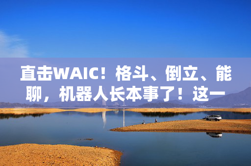 直击WAIC！格斗、倒立、能聊，机器人长本事了！这一展台“人山人海”！