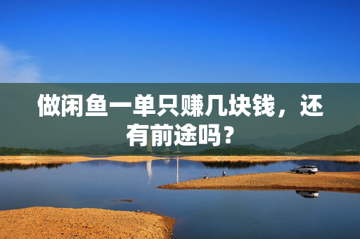 做闲鱼一单只赚几块钱，还有前途吗？