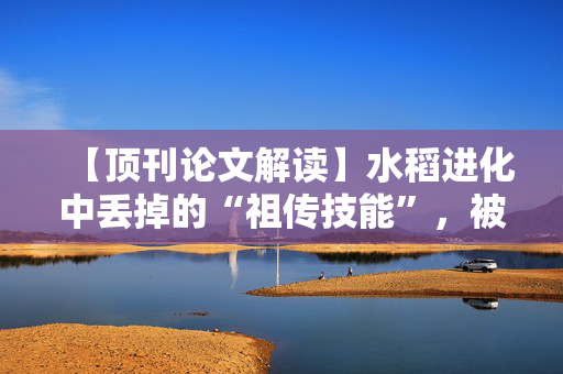 【顶刊论文解读】水稻进化中丢掉的“祖传技能”，被科学家用基因编辑找回来了