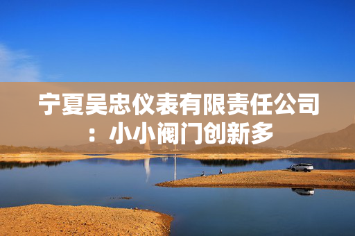 宁夏吴忠仪表有限责任公司：小小阀门创新多