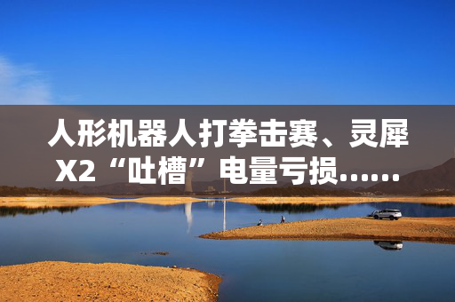 人形机器人打拳击赛、灵犀X2“吐槽”电量亏损…… 世界人工智能大会展示“中国答卷”