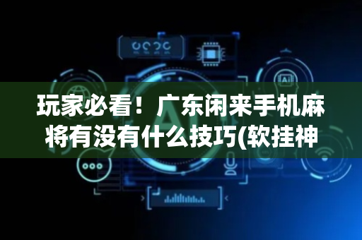 玩家必看！广东闲来手机麻将有没有什么技巧(软挂神器)
