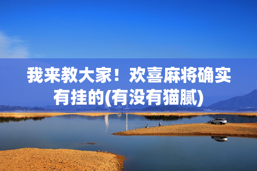 我来教大家！欢喜麻将确实有挂的(有没有猫腻)