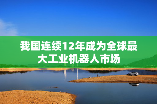 我国连续12年成为全球最大工业机器人市场