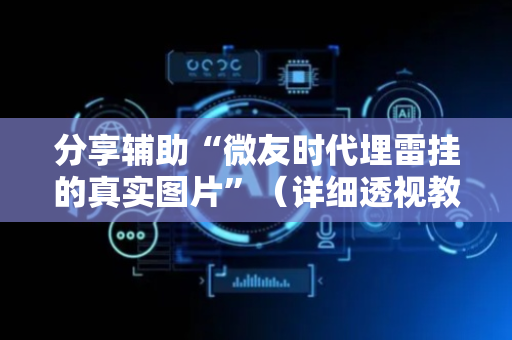 分享辅助“微友时代埋雷挂的真实图片”（详细透视教程）-哔哩哔哩