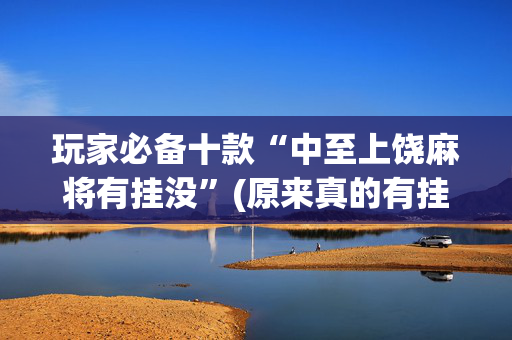 玩家必备十款“中至上饶麻将有挂没”(原来真的有挂)-抖音