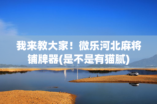 我来教大家！微乐河北麻将铺牌器(是不是有猫腻)