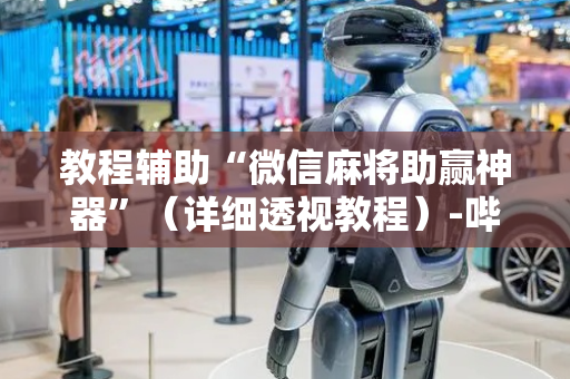 教程辅助“微信麻将助赢神器”（详细透视教程）-哔哩哔哩
