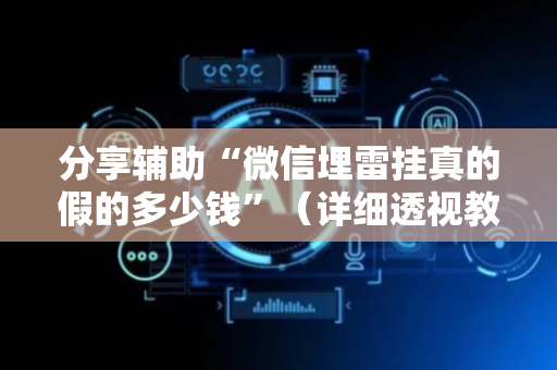 分享辅助“微信埋雷挂真的假的多少钱”（详细透视教程）-哔哩哔哩