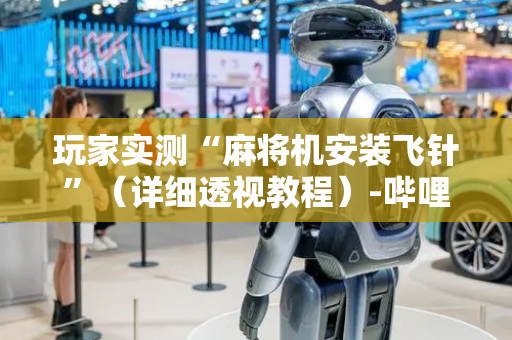 玩家实测“麻将机安装飞针”（详细透视教程）-哔哩哔哩