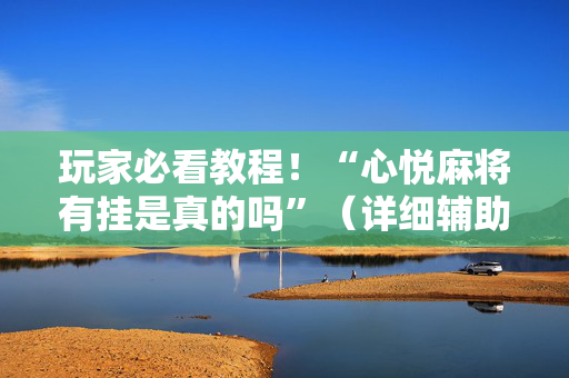 玩家必看教程！“心悦麻将有挂是真的吗”（详细辅助教程）-哔哩哔哩