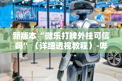新版本“微乐打牌外挂可信吗”（详细透视教程）-哔哩哔哩