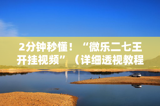 2分钟秒懂！“微乐二七王开挂视频”（详细透视教程）-哔哩哔哩